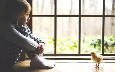 成都哪家医院治疗自闭症好?成都西南儿童医院自闭症康复案例